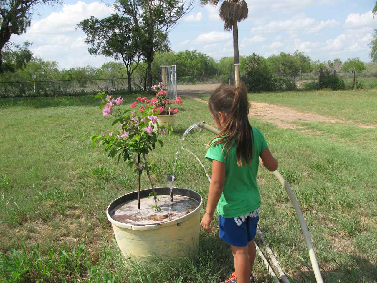 My granddaughter watering my mom's plants.