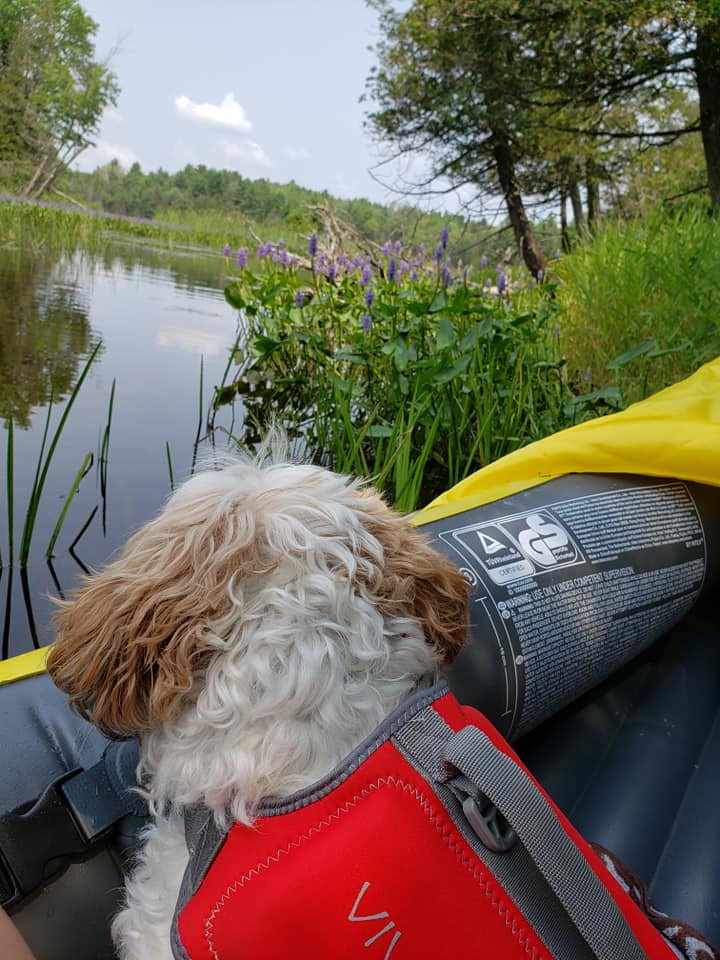 River camping