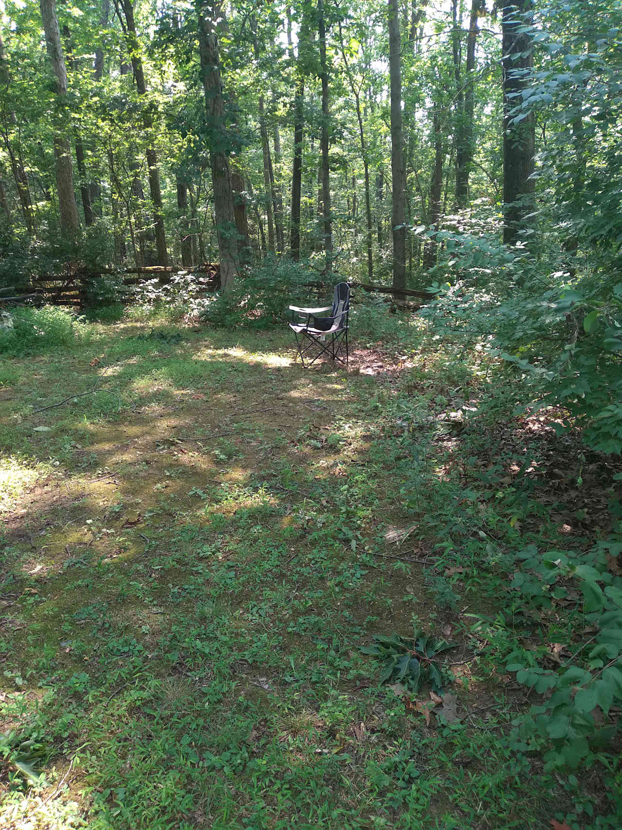 Woods Edge song birds sanctuary