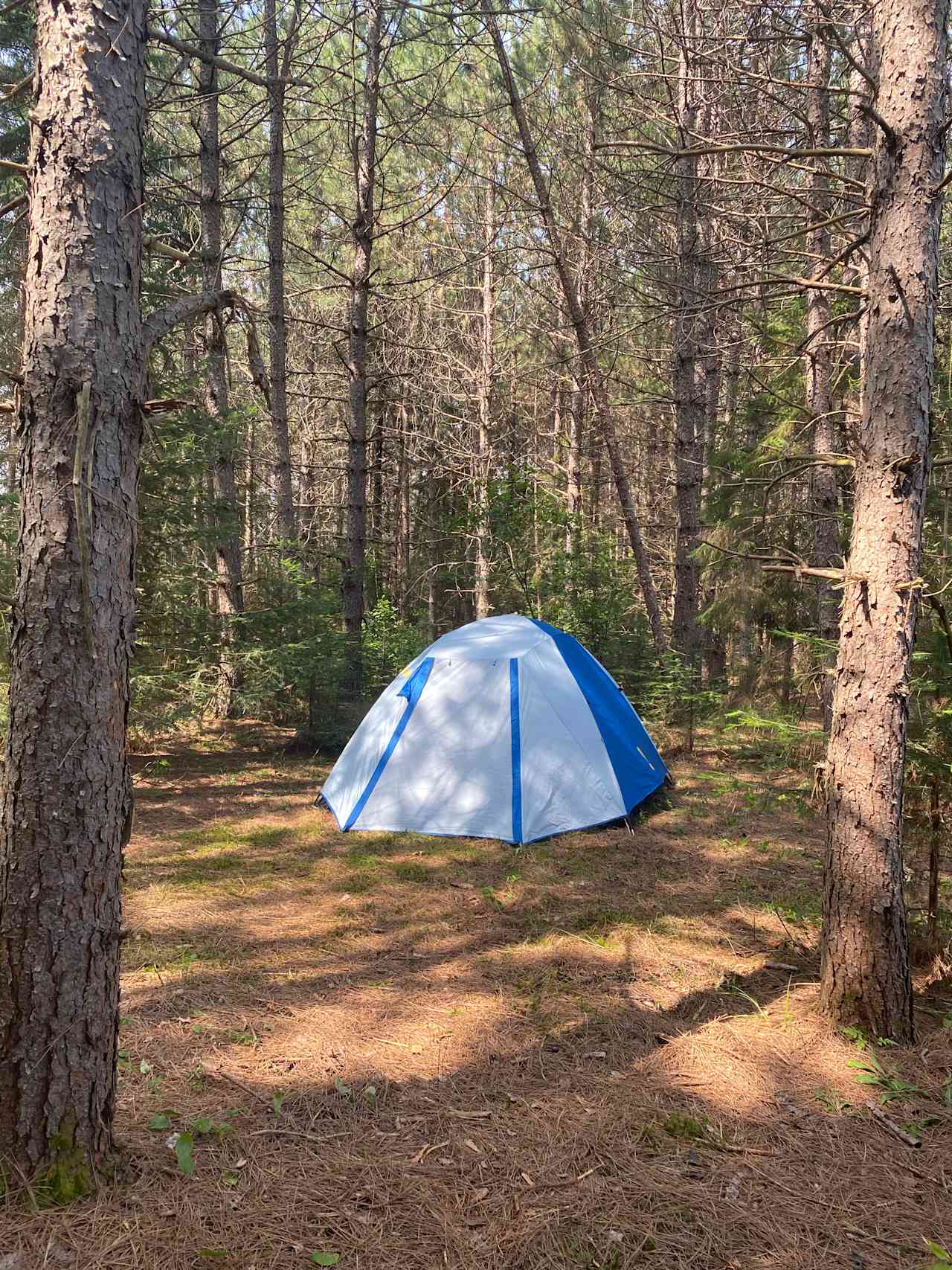 This is our tent that you can rent, with a double air mattress. Sleeping bags too if you need! See the extra's section.