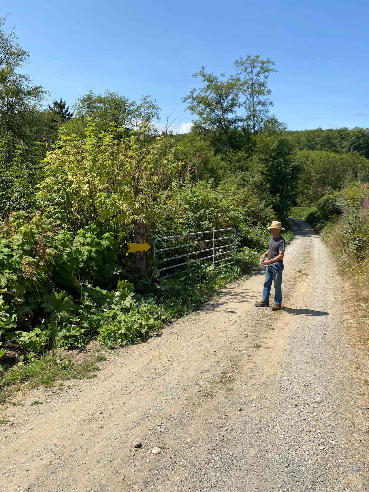 Driveway into camp