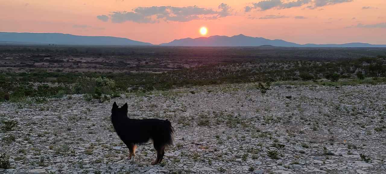 View of the Del Norte Mountains from Saddletramp Ranch