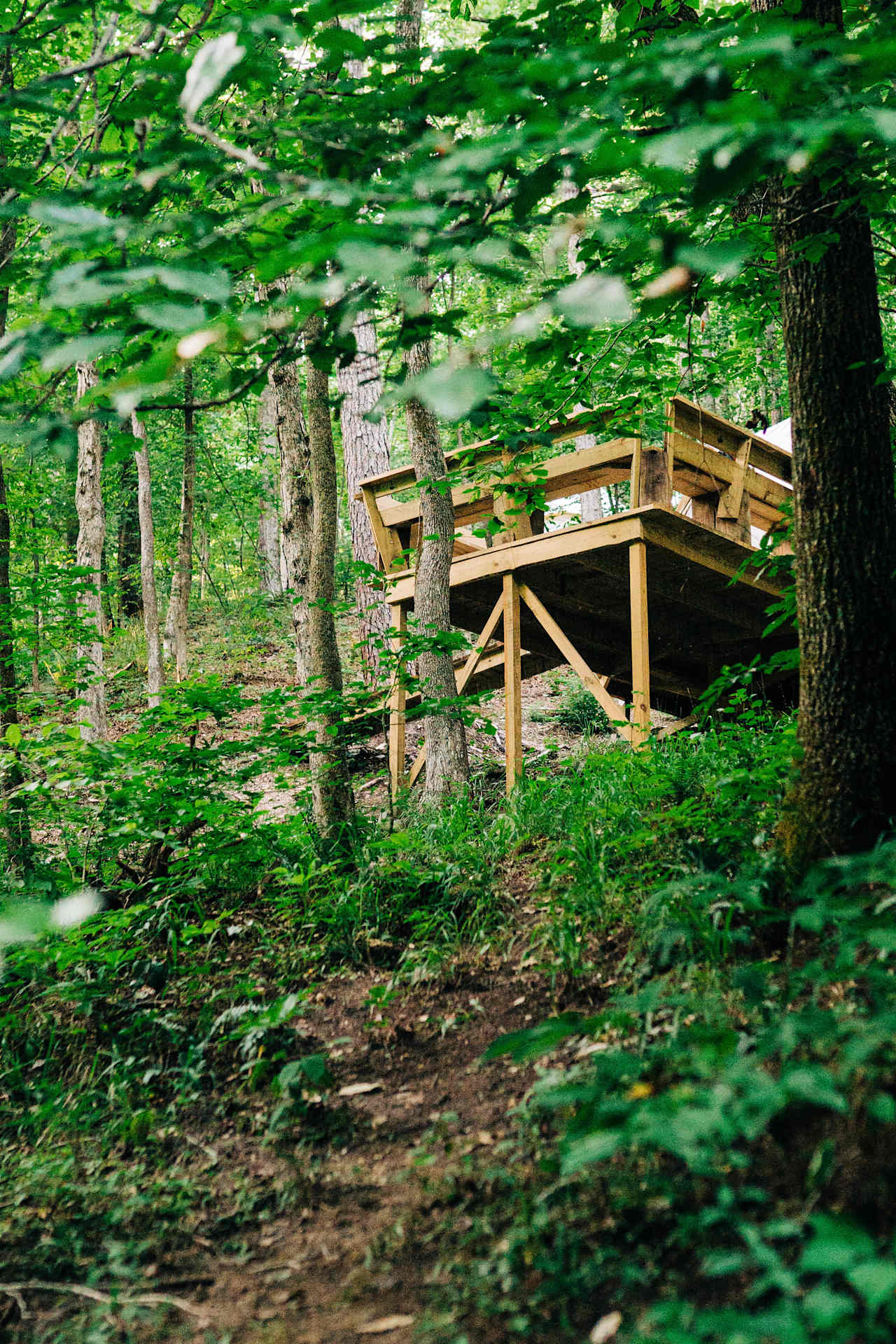 The view of the balcony from the creek access.