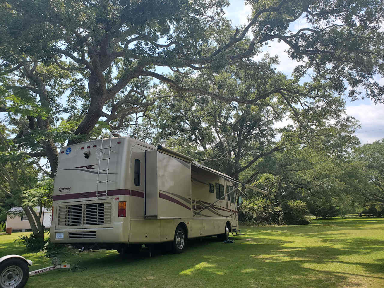 Live Oaks Farm