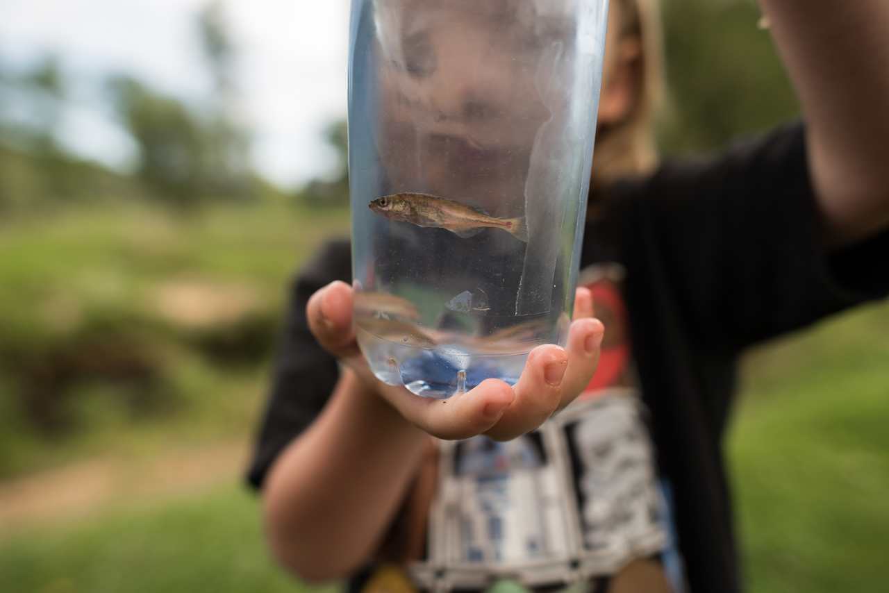 Up close with a catch before releasing back into the creek. 