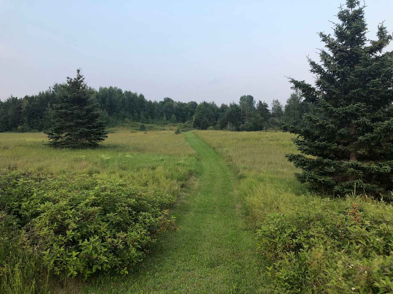 Tent Camping on Moody Views Farm