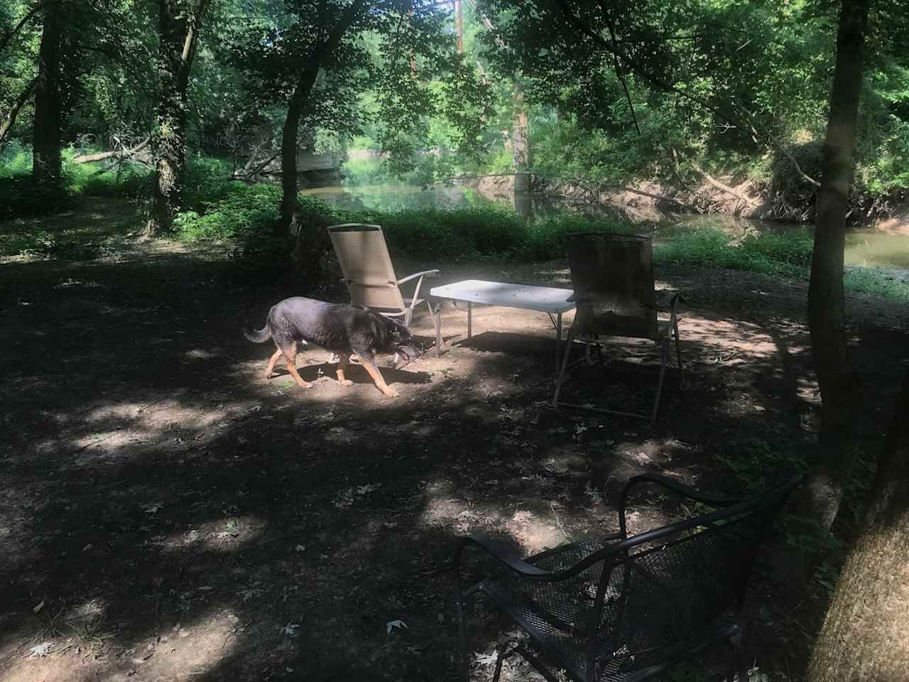 Site 2. Labarque Creek and Meramec River beach picnic area at campsite