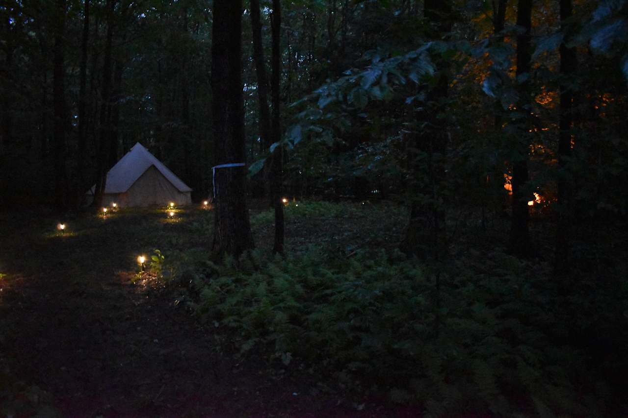 Forrest For The Trees Camp