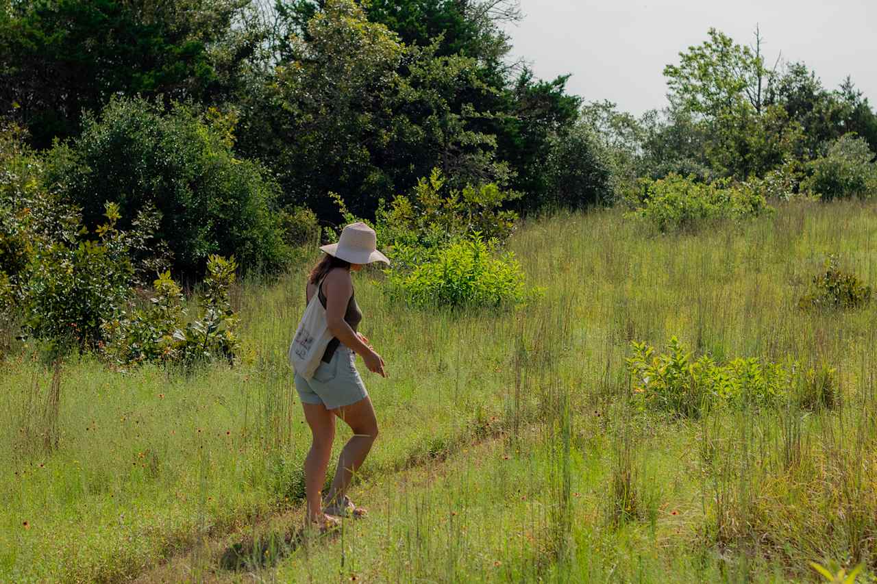 There are multiple trails all on property, two of which loop together and was such an intimate nature experience. Rebecca gave us a tour and showed us how she "forest bathes"