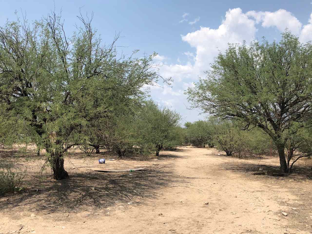 Small Desert Family Farm