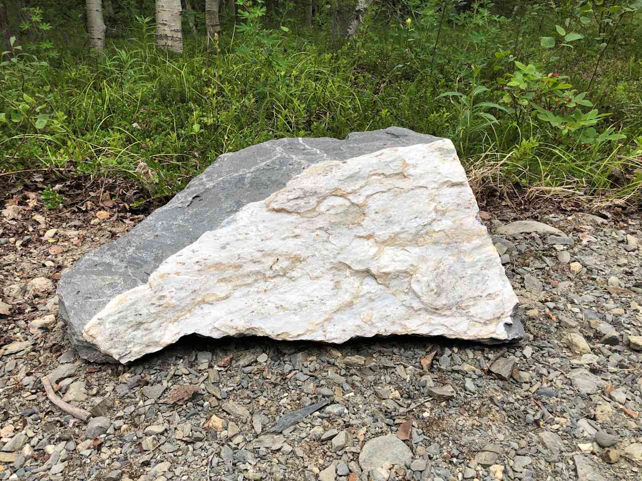 The "Raven in the Rock."  A huge piece of granite with the raven's head appearing in the white quartz watches over the campsite.