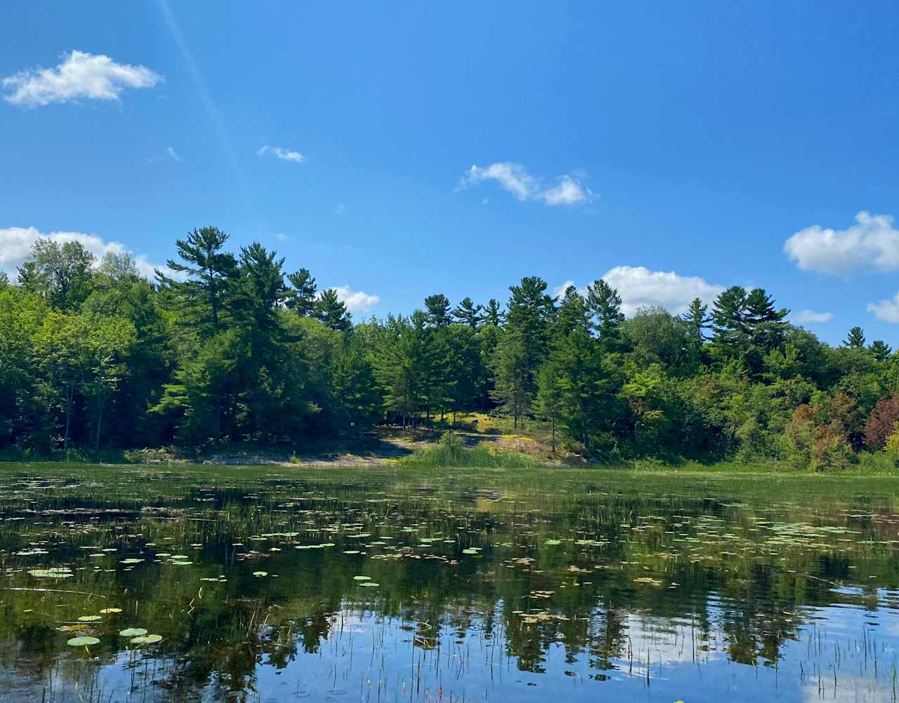 Sparrow Lake Camp