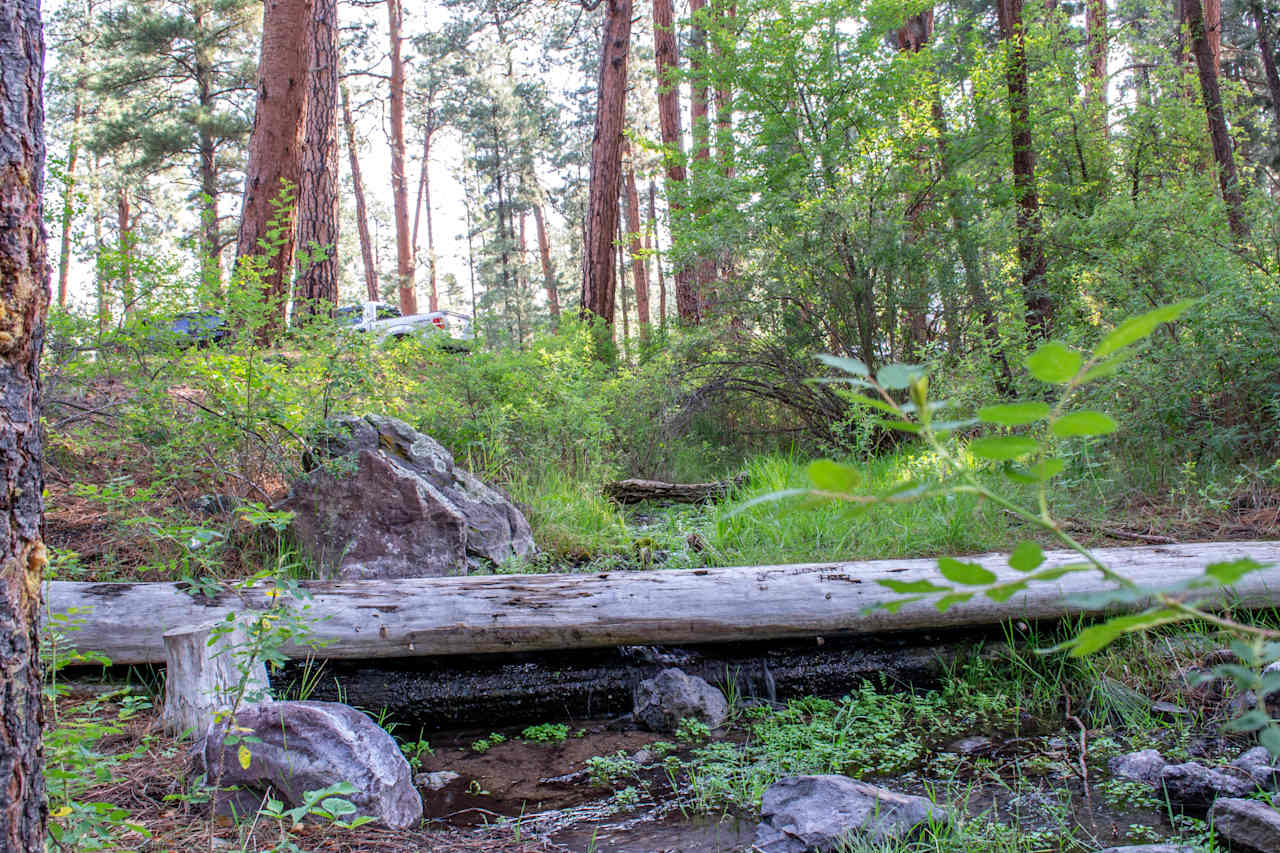 The little creek that runs through the camp makes the most peaceful sound. 