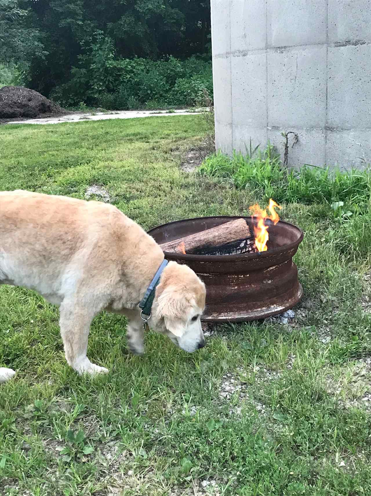 Our first camp fire