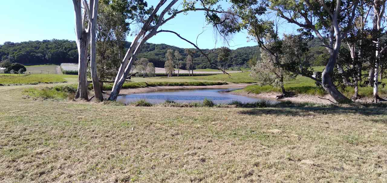 Site # 1, grassed & pleasant aspect