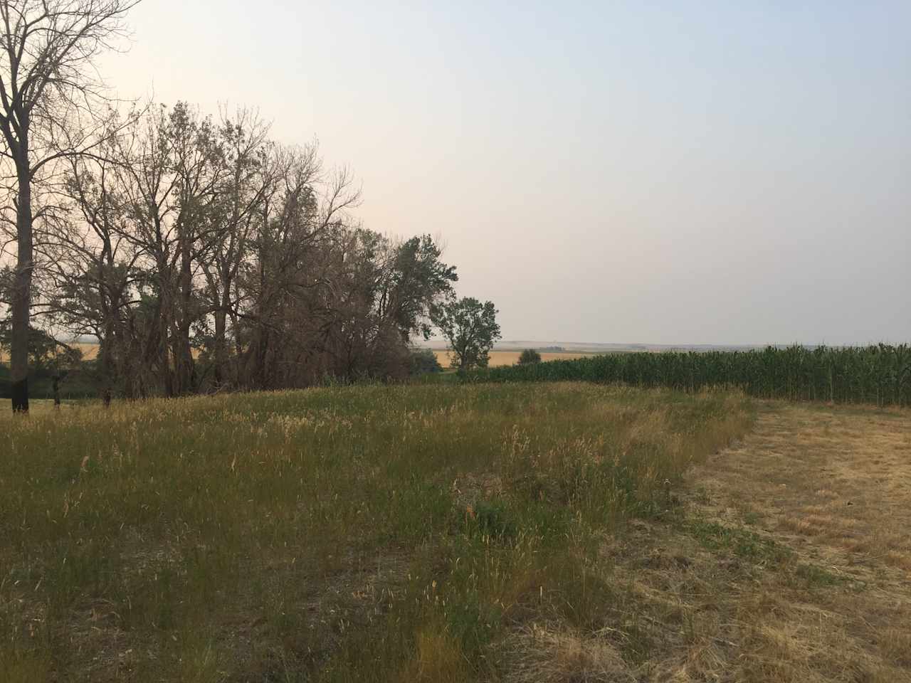 Pond and farm views