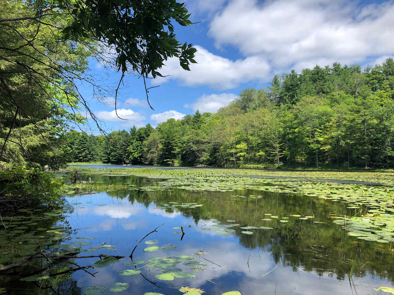 View from waters edge. Follow the bay North to Bob's Lake proper