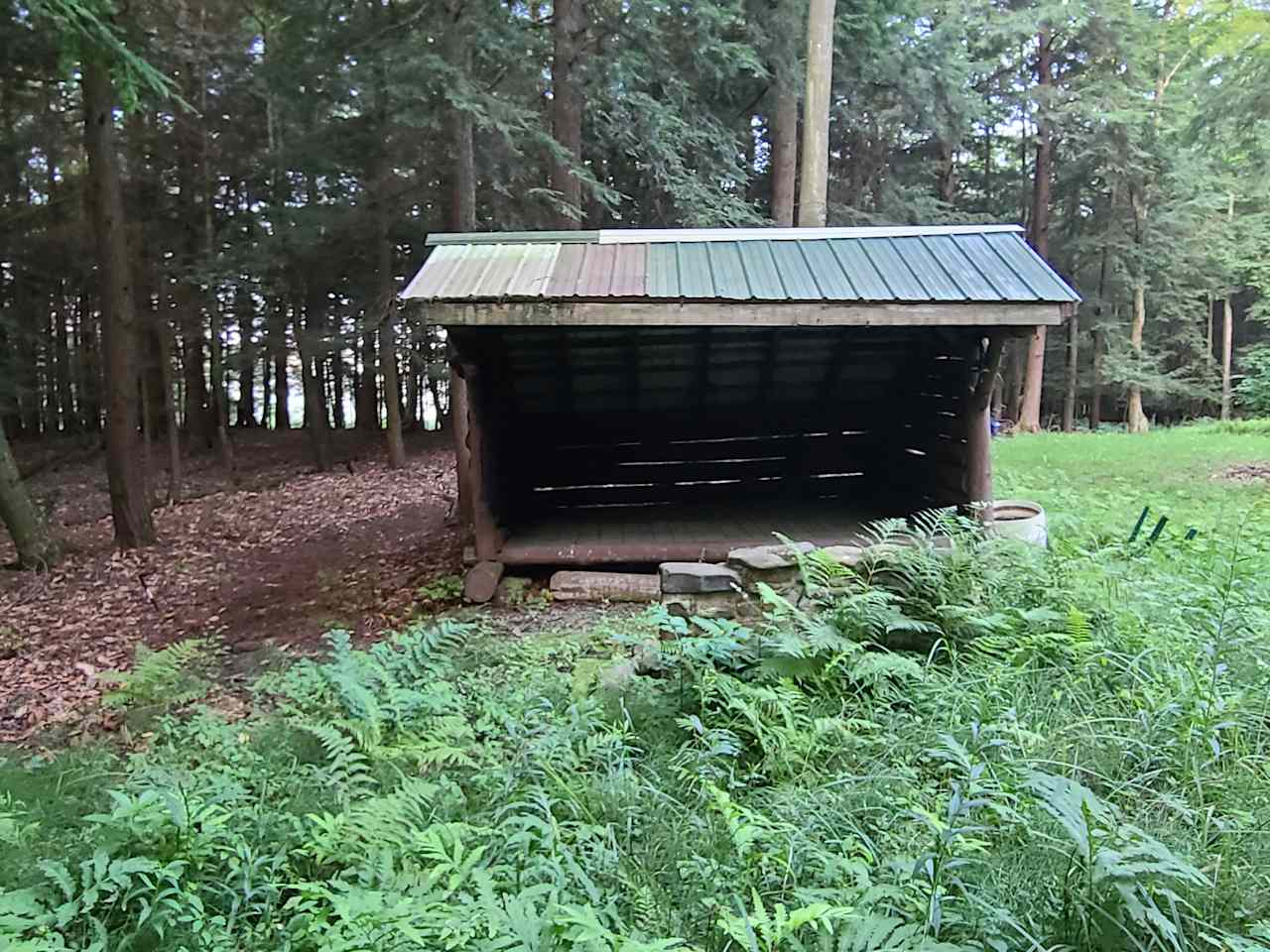 Lean-to in quiet forest