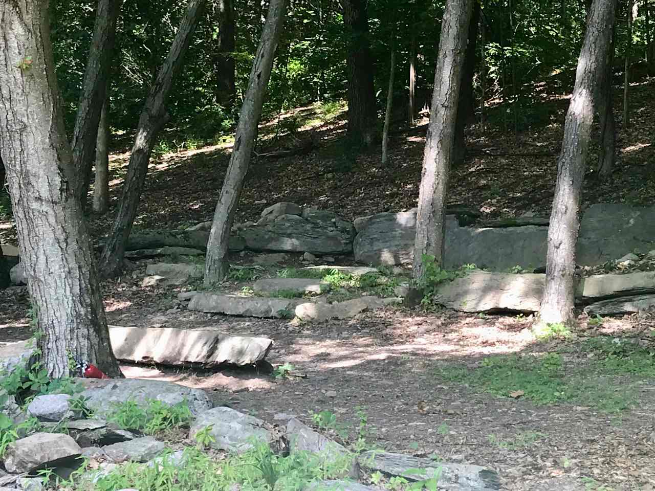 Twin Oaks - A view from the trail.