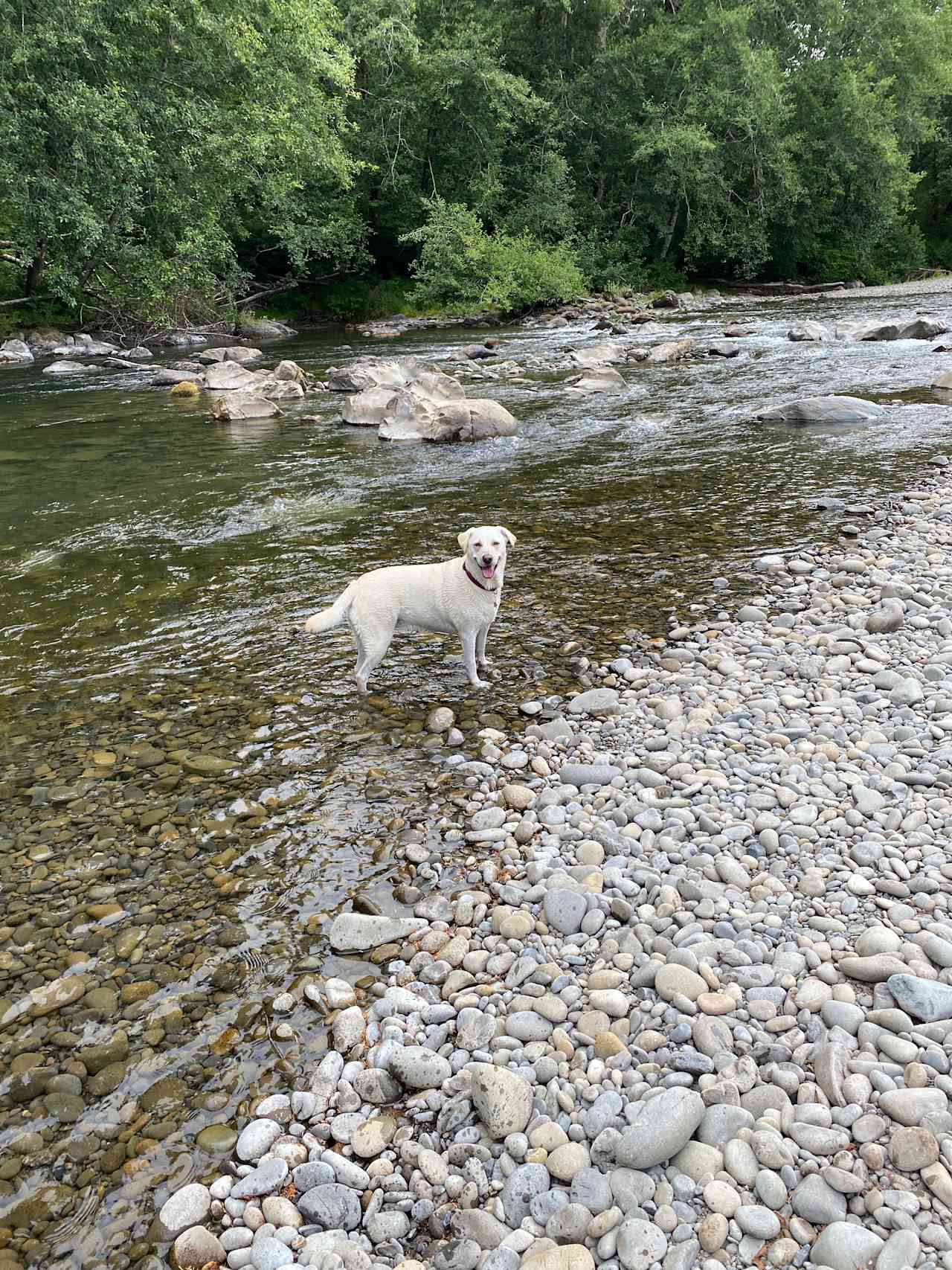 River near the campground 