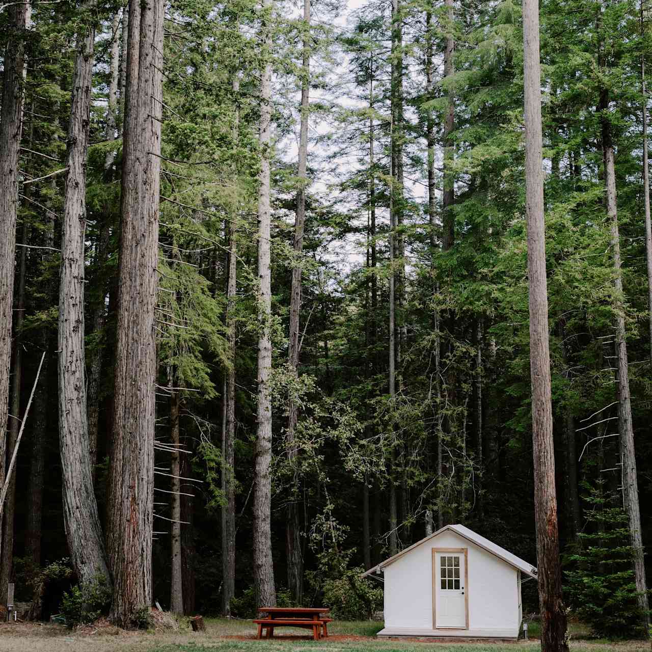 This is cabin 3, tucked up against the trees but close to the bath house & camp kitchen. 