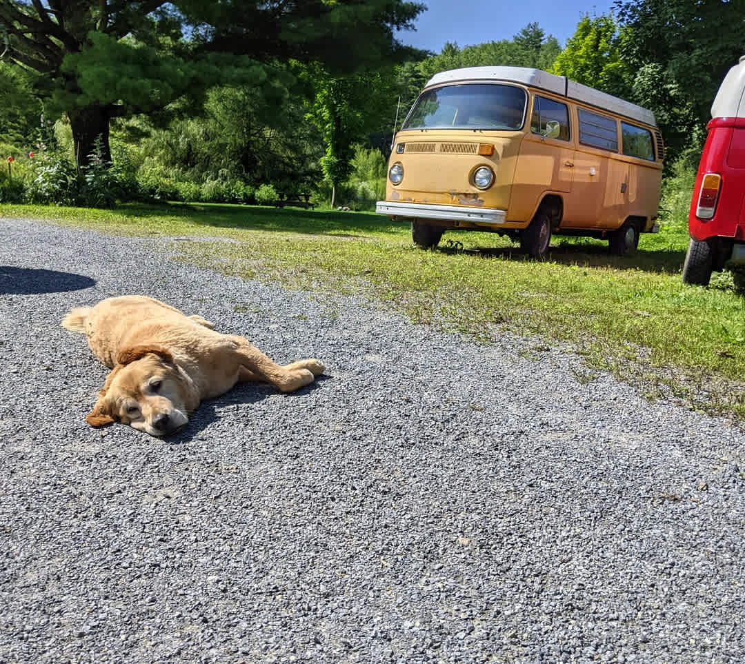 Timbertrail Farm