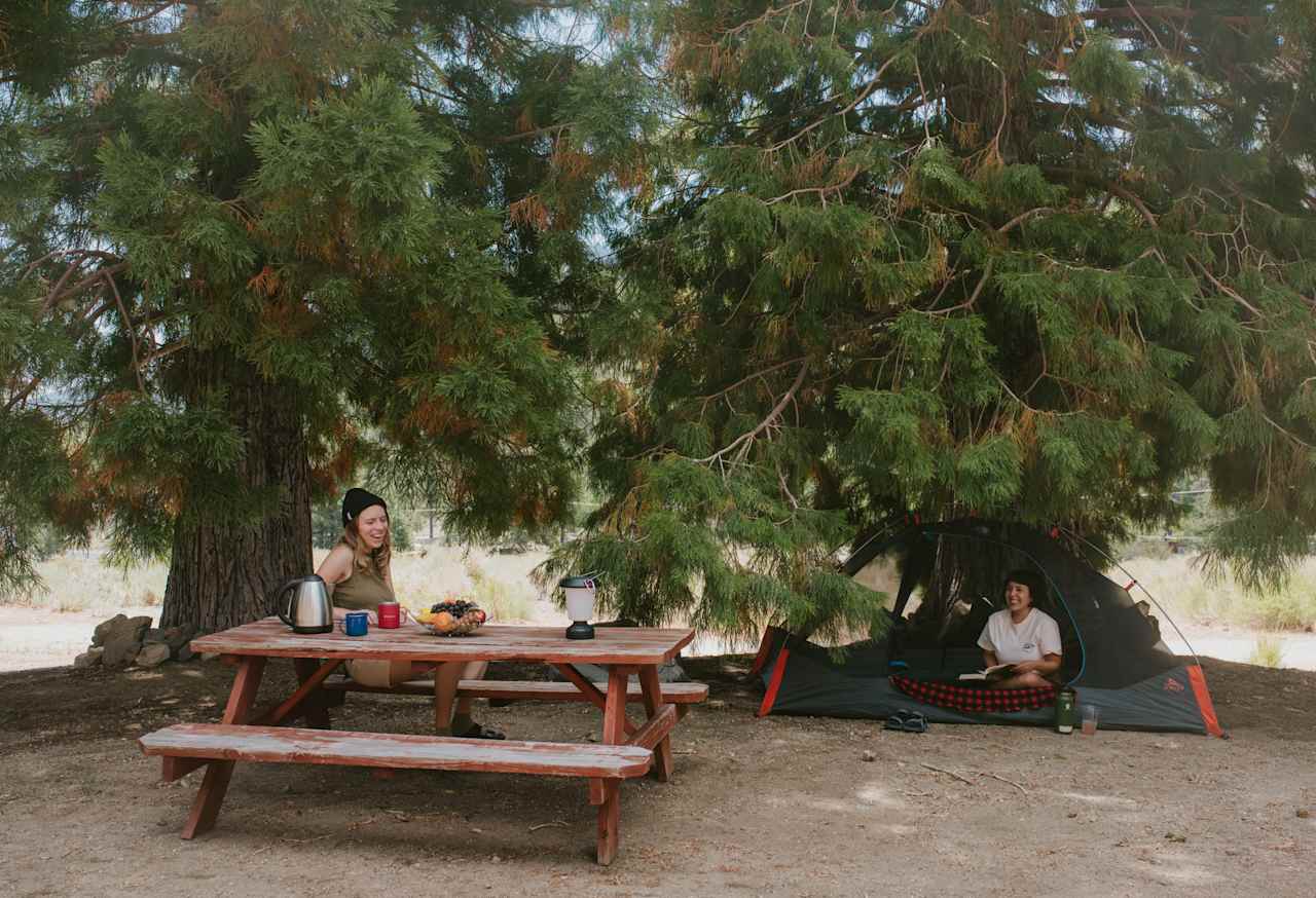 Camping area in front of the lodge.