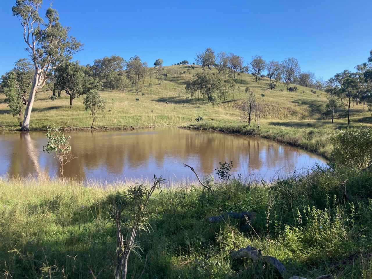 There is mowed area just up from the dam to camp.  