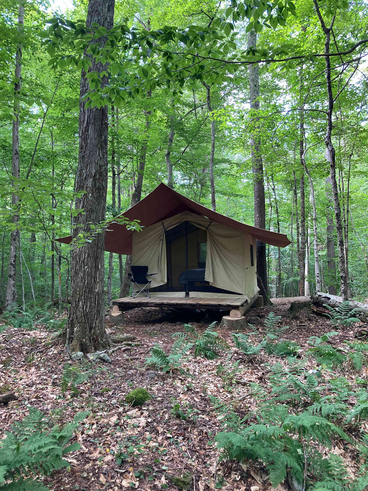 Glamping On a Pond in the Mountains