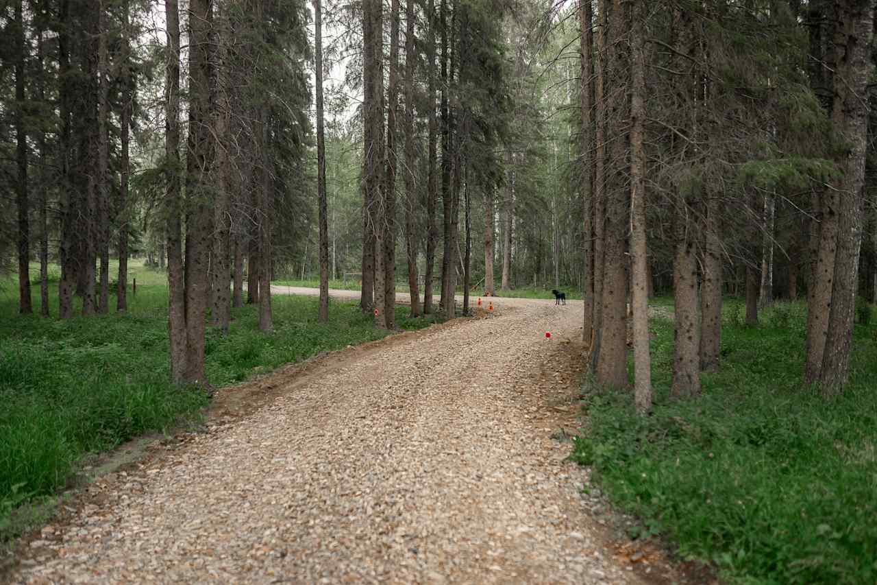 The road leading back into the camping area.