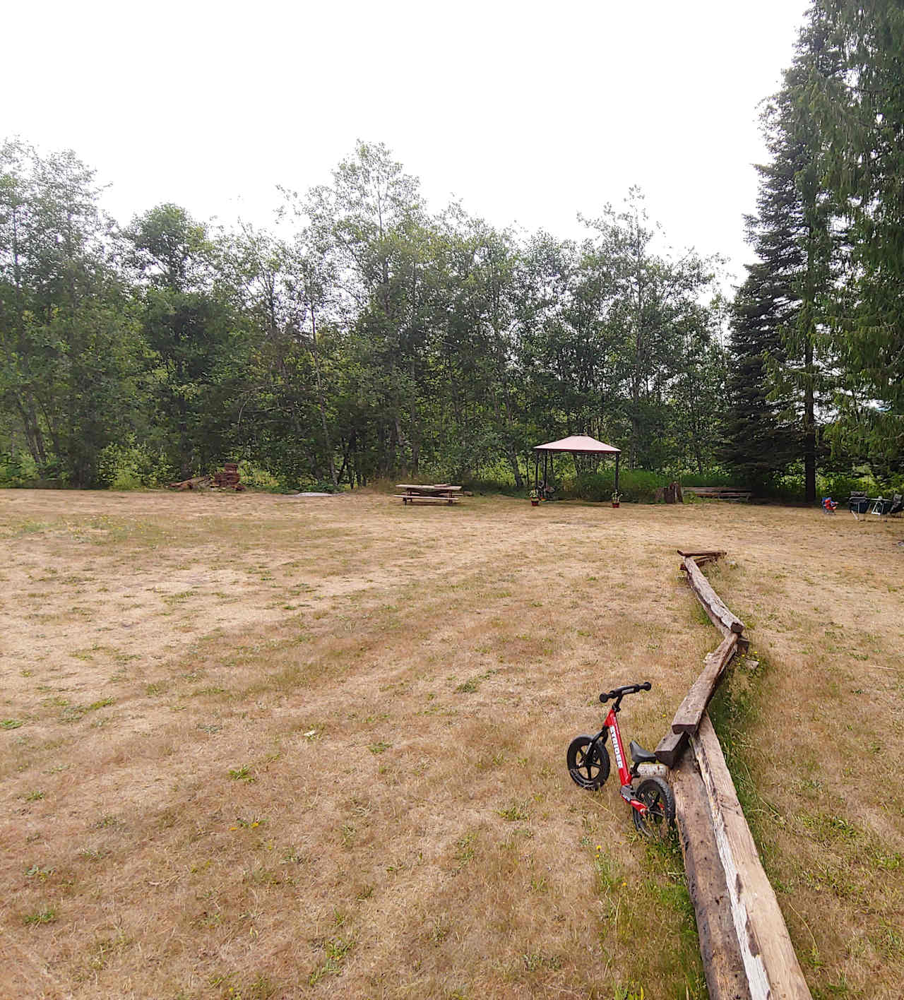 From the driveway looking toward the campsite.