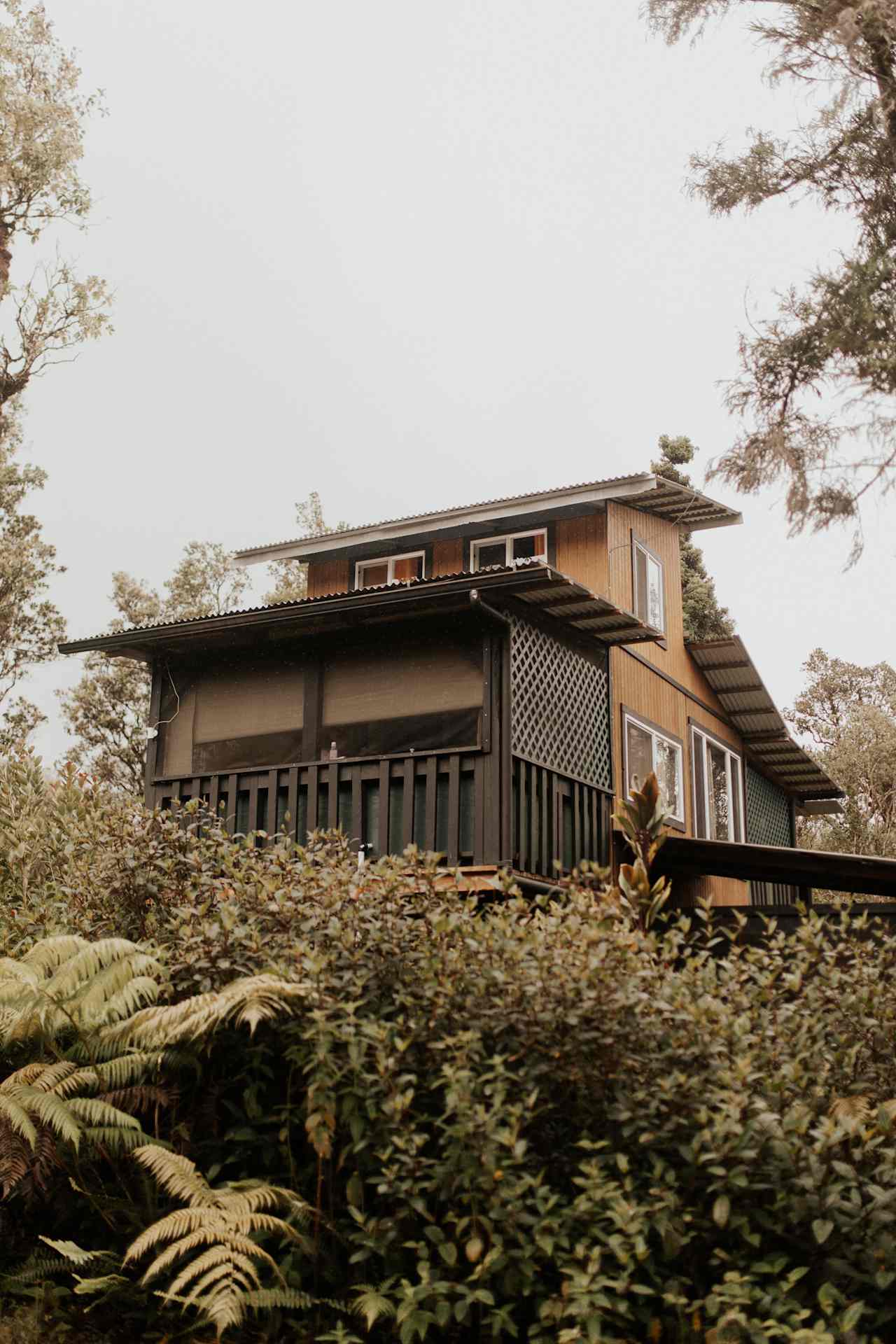 the treehouse from the driveway