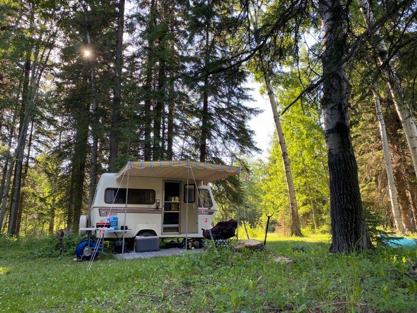 Camp under the trees at Site 1