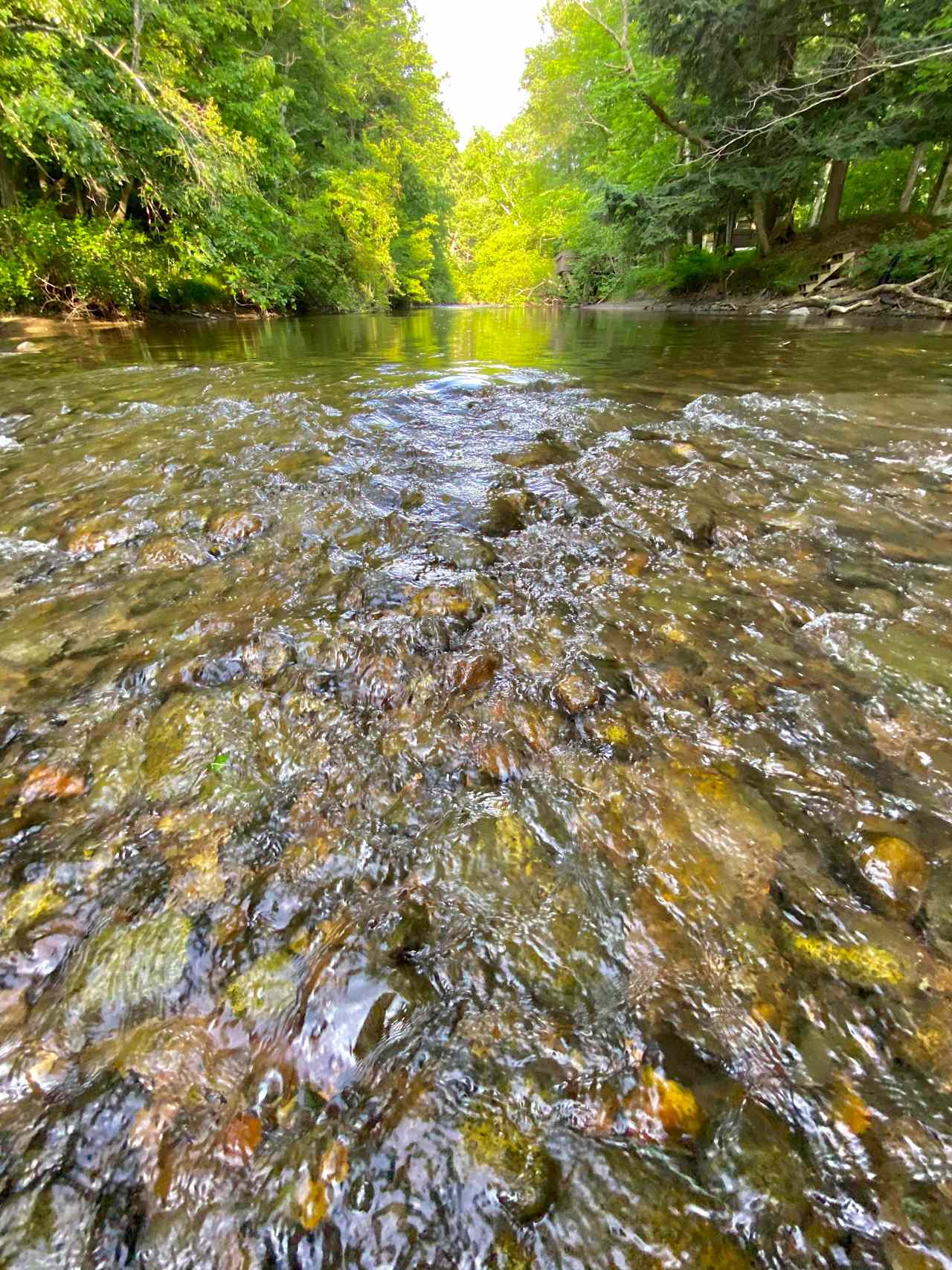 Brookhollow Riverfront Campsite