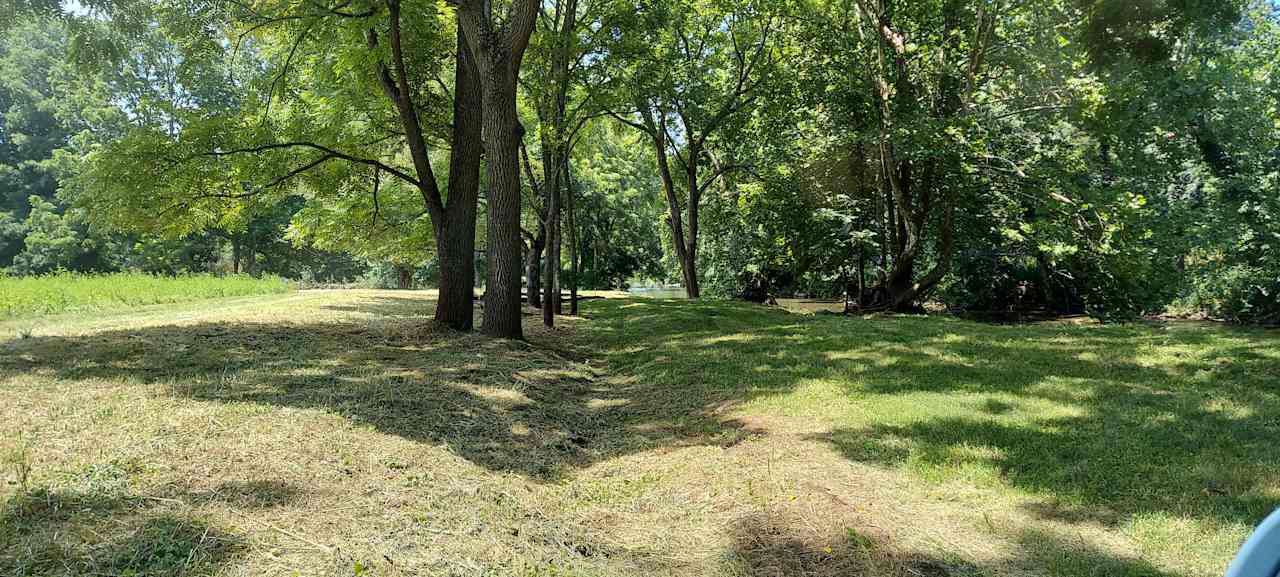 shaded campsites, Reed Creek to the right