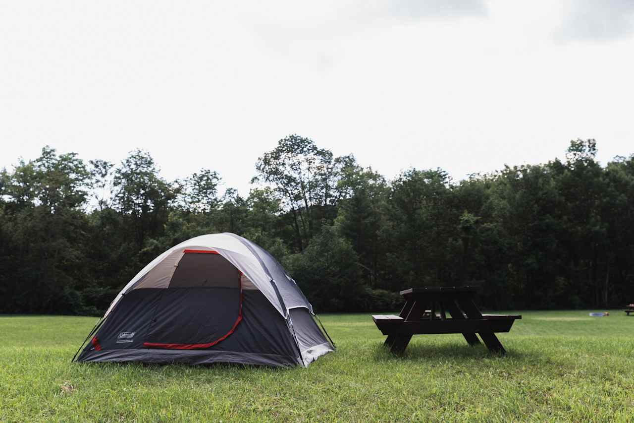 I normally prefer to camp tucked into the woods, but this high spot in the middle of the field was nice and dry after weeks of rain. 