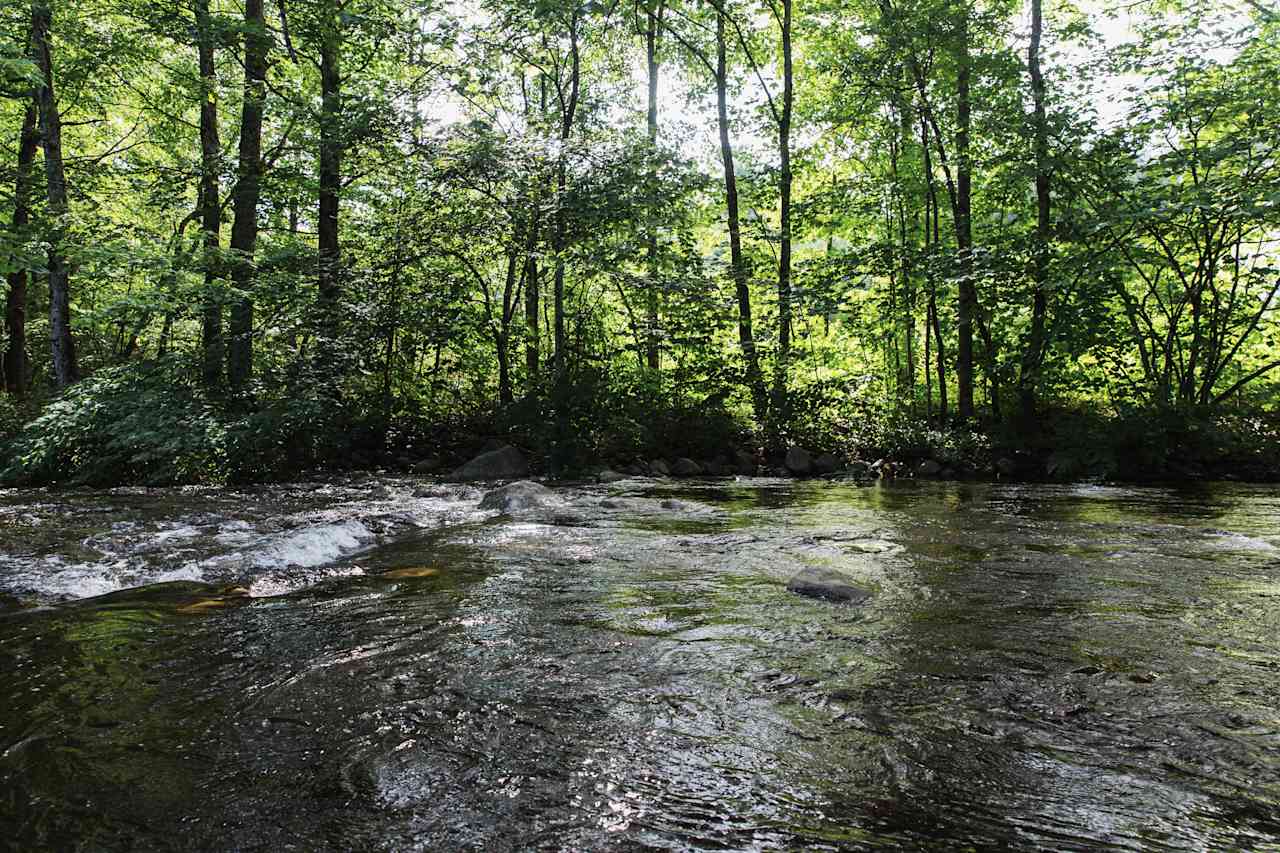 On a hot August afternoon, there's nothing nicer than stepping into the cold water. 