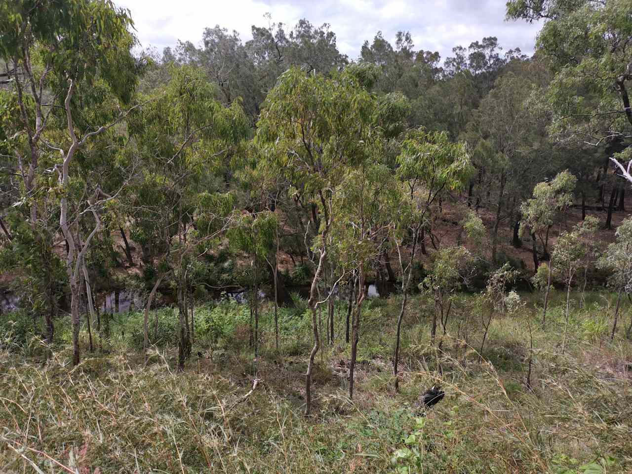 Serenity Bush Camp