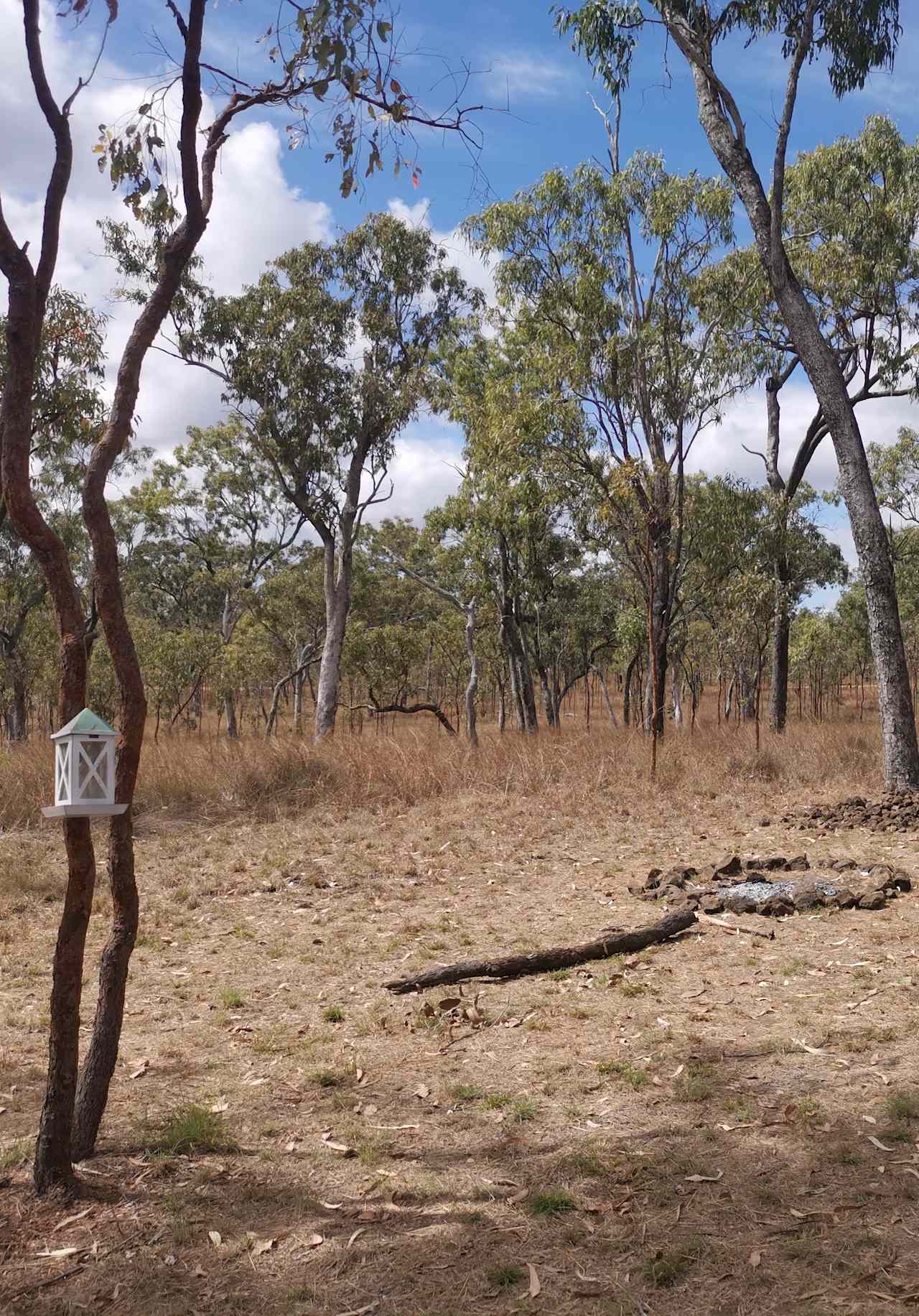 Serenity Bush Camp