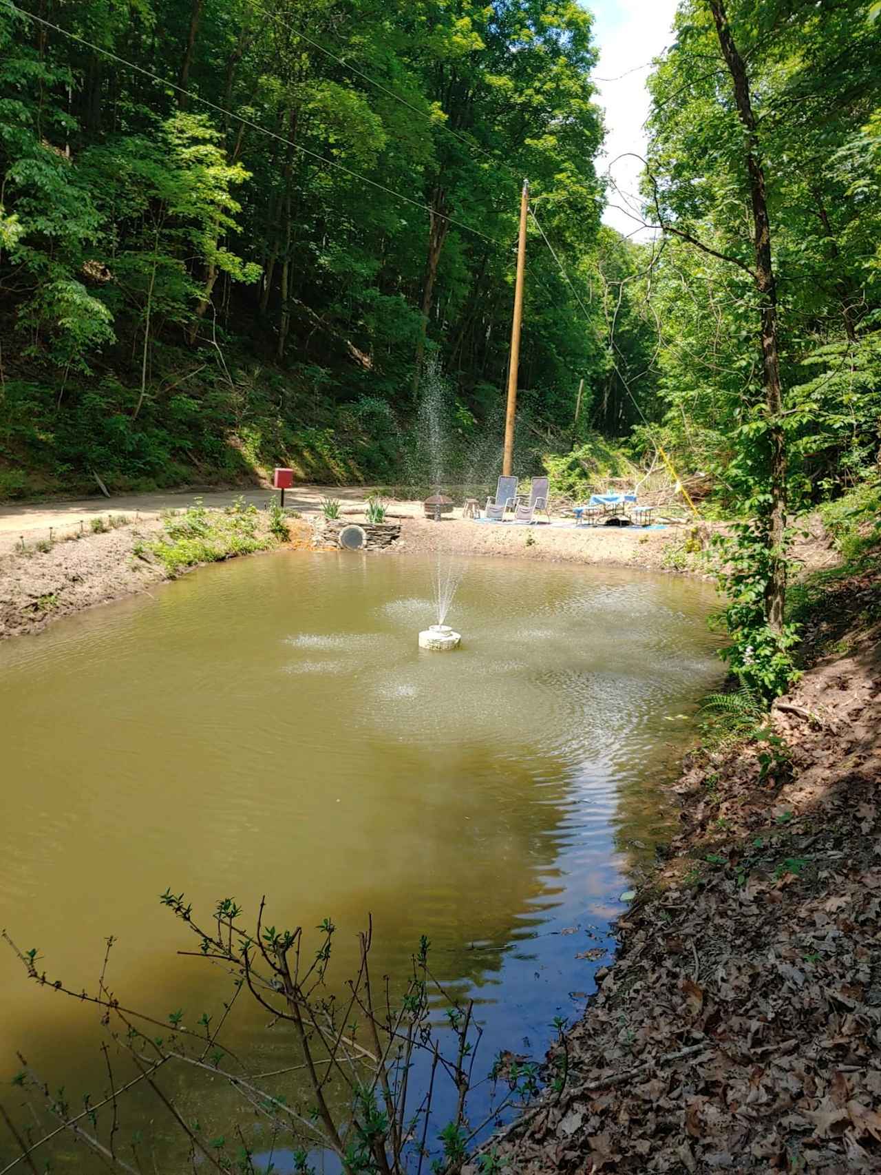 Enjoy the spring fed pond. Stocked with a variety of fish. lounge chairs, picnic table and fire pit for your adventure