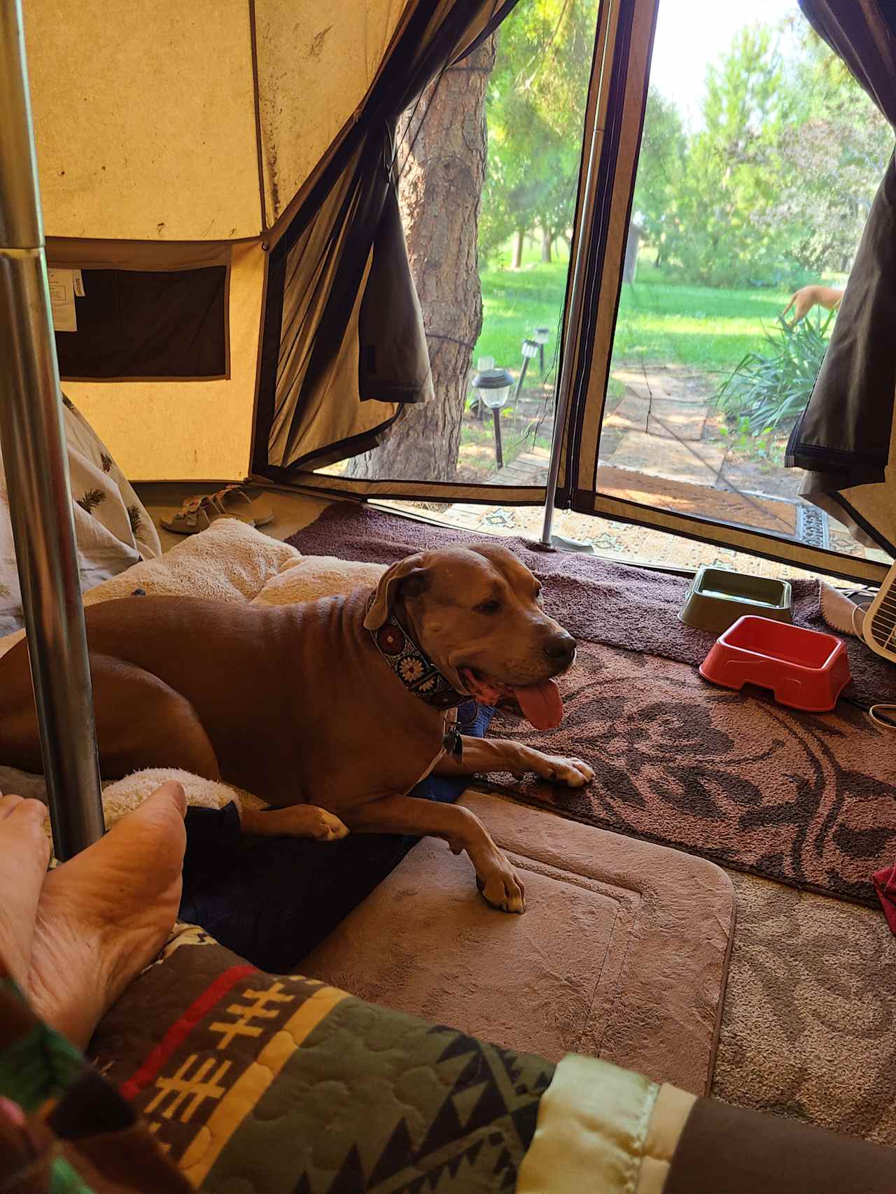 Jake and I lounging in our tent. Quite magical.