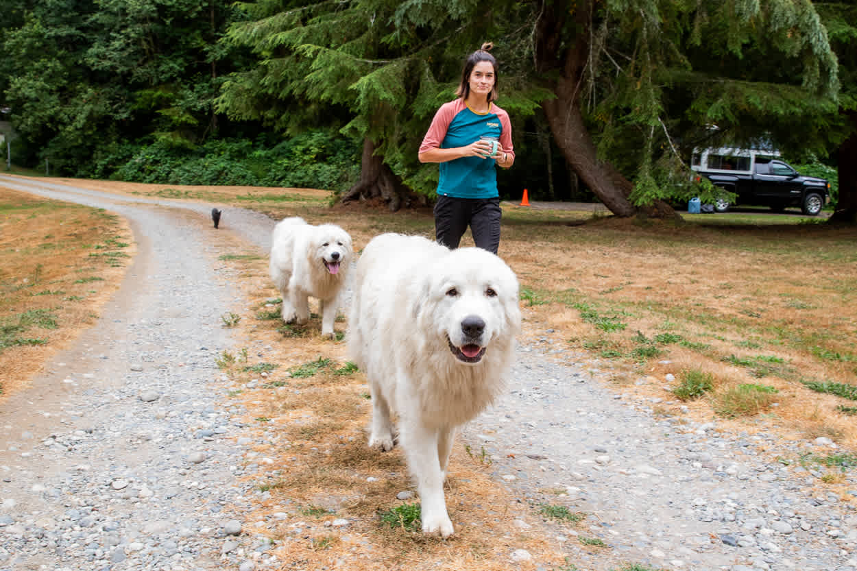 Chuckanut Hills Farm & Camp