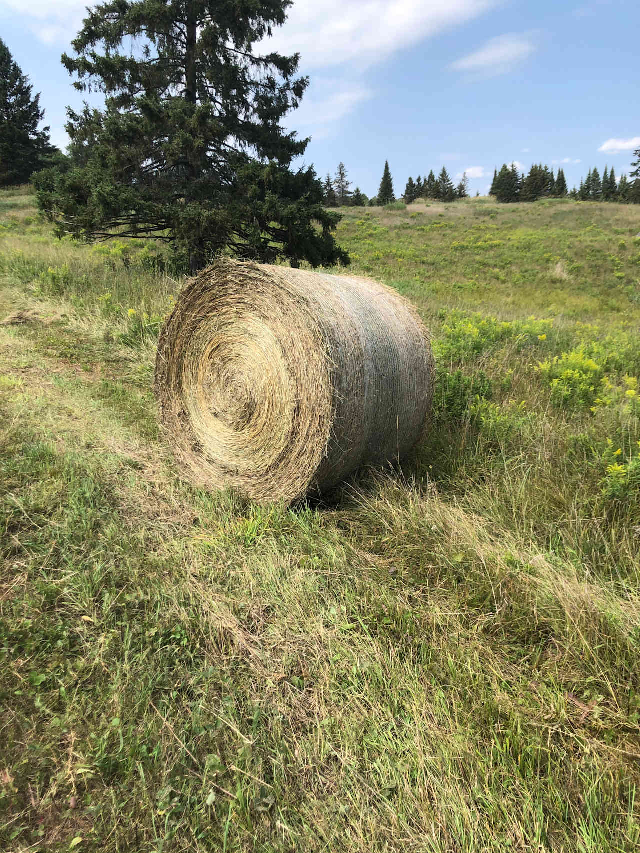 Beautiful Scenic Ranch