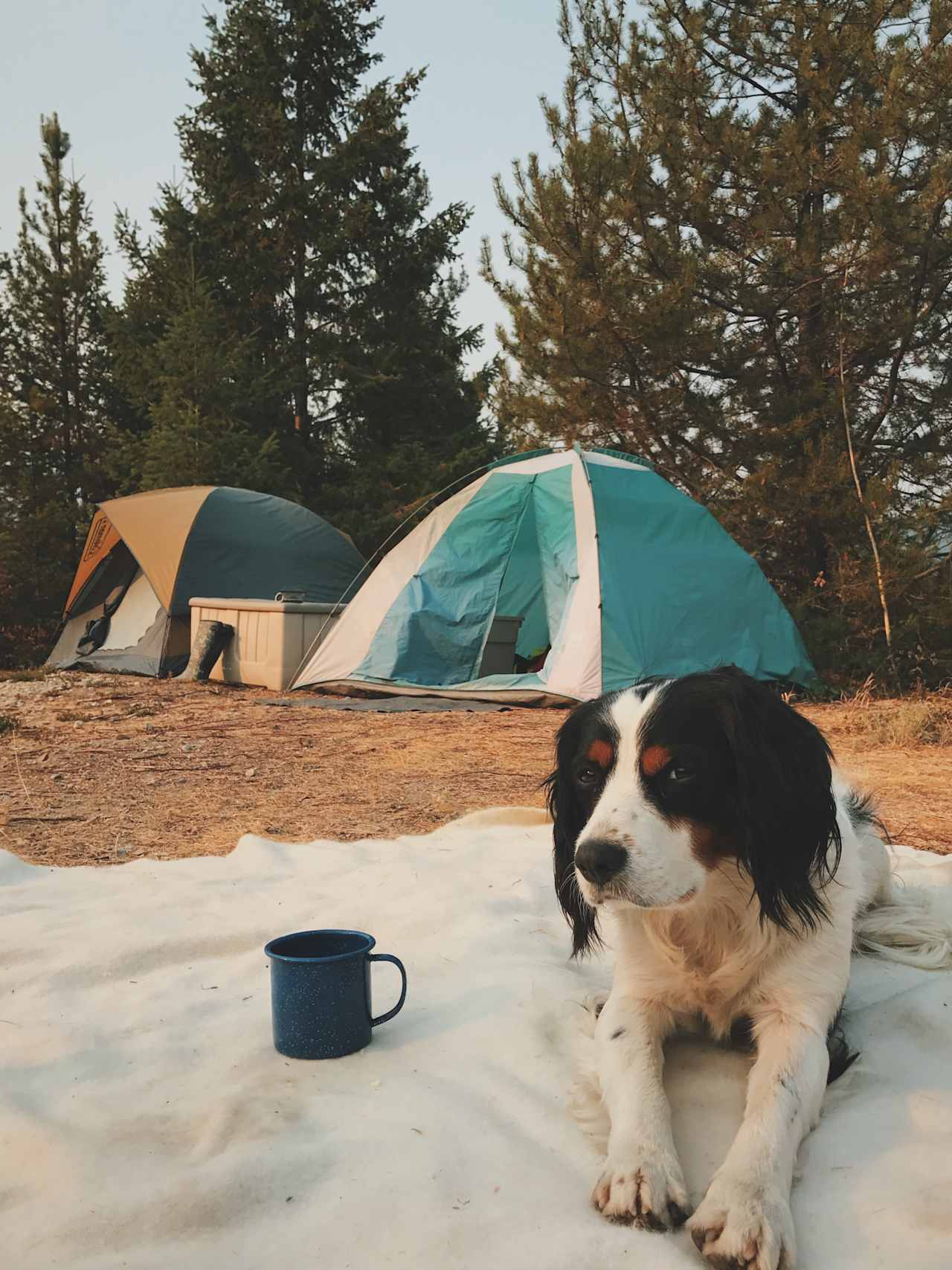 Riverfront Desert Camp