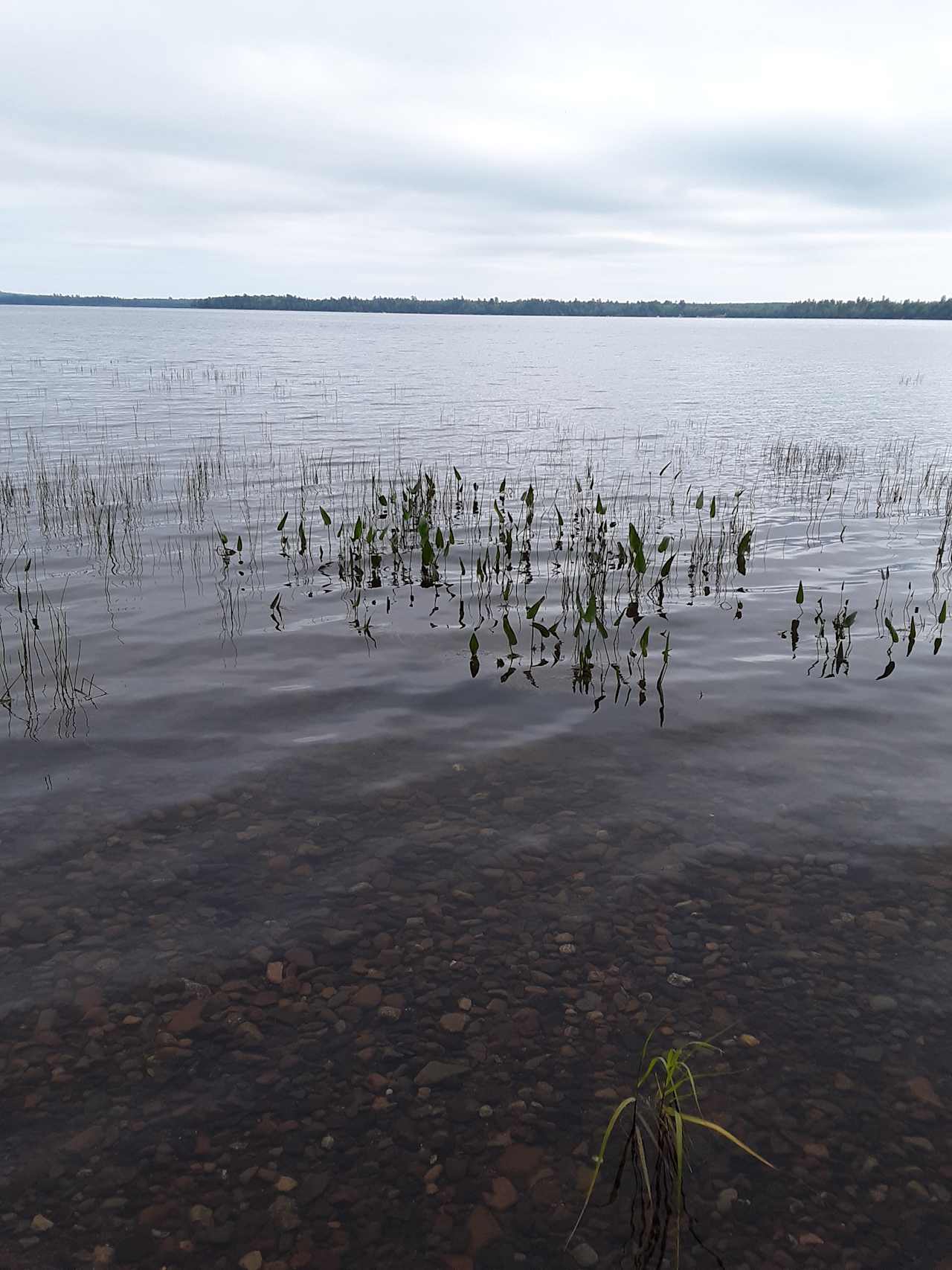 Karen’s Campsite - Boyden Lake