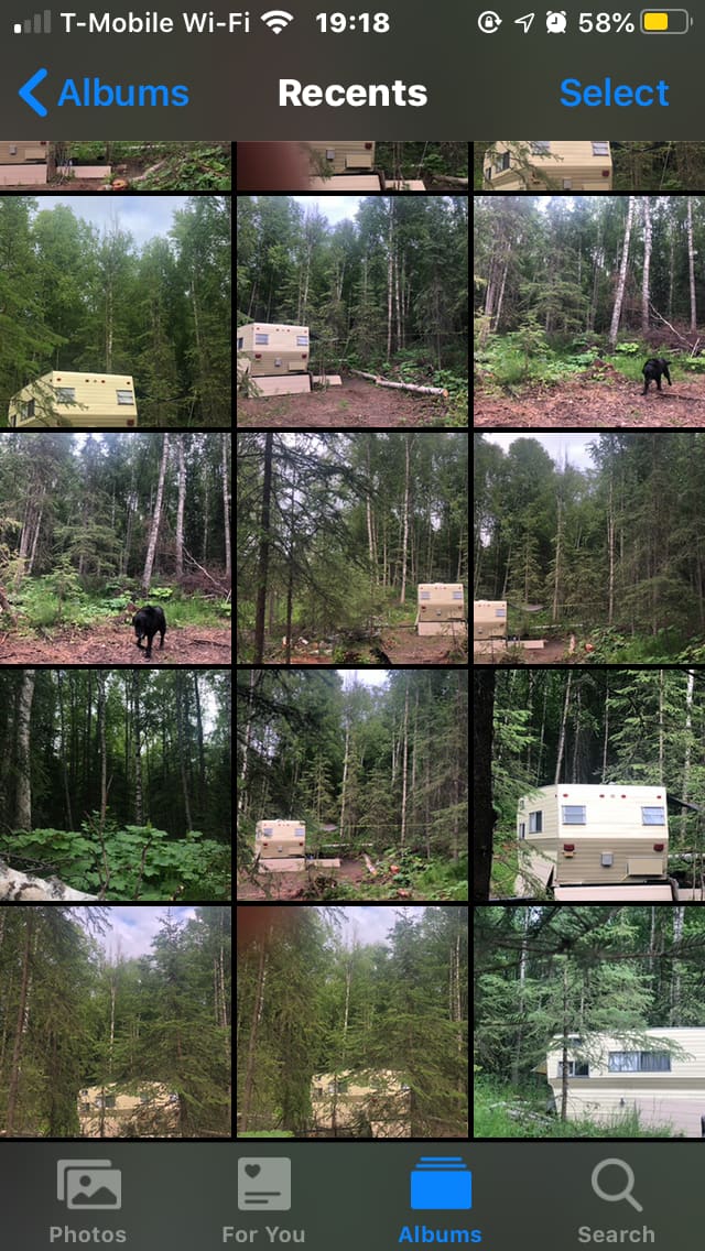 Private RV in the Woods of WASILLA!