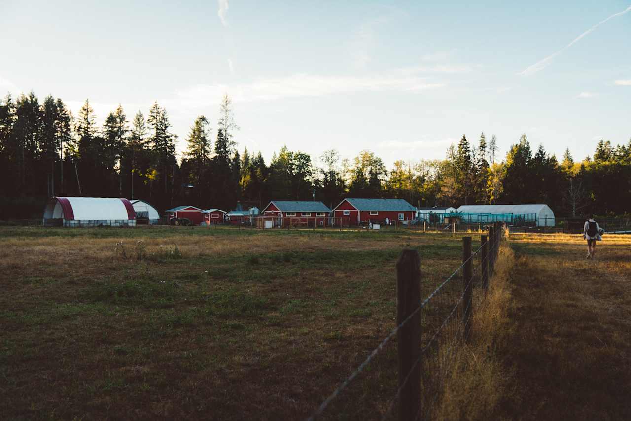 The barnyard as the sun begins to dip below the trees.