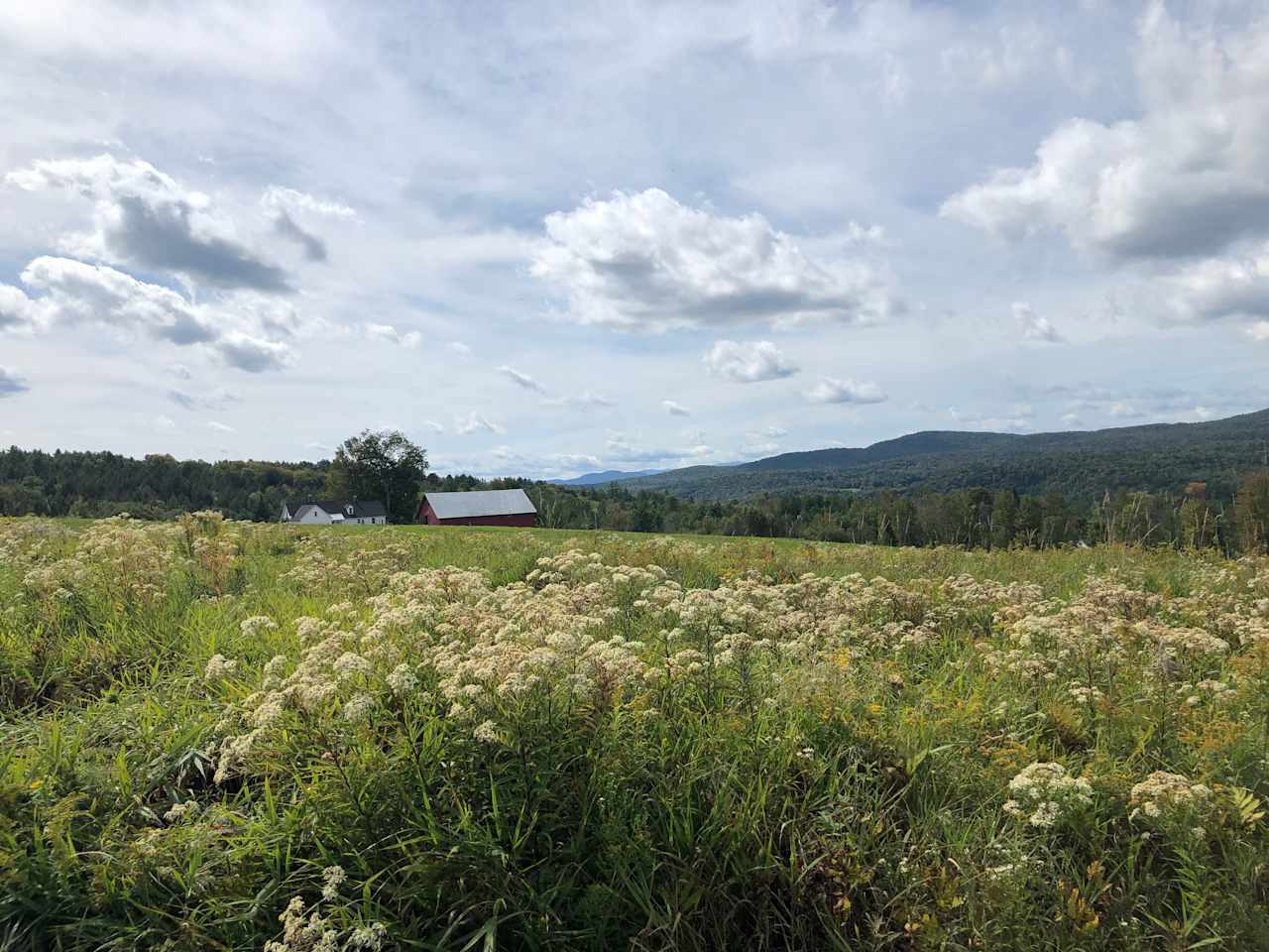 Anderbell Acres