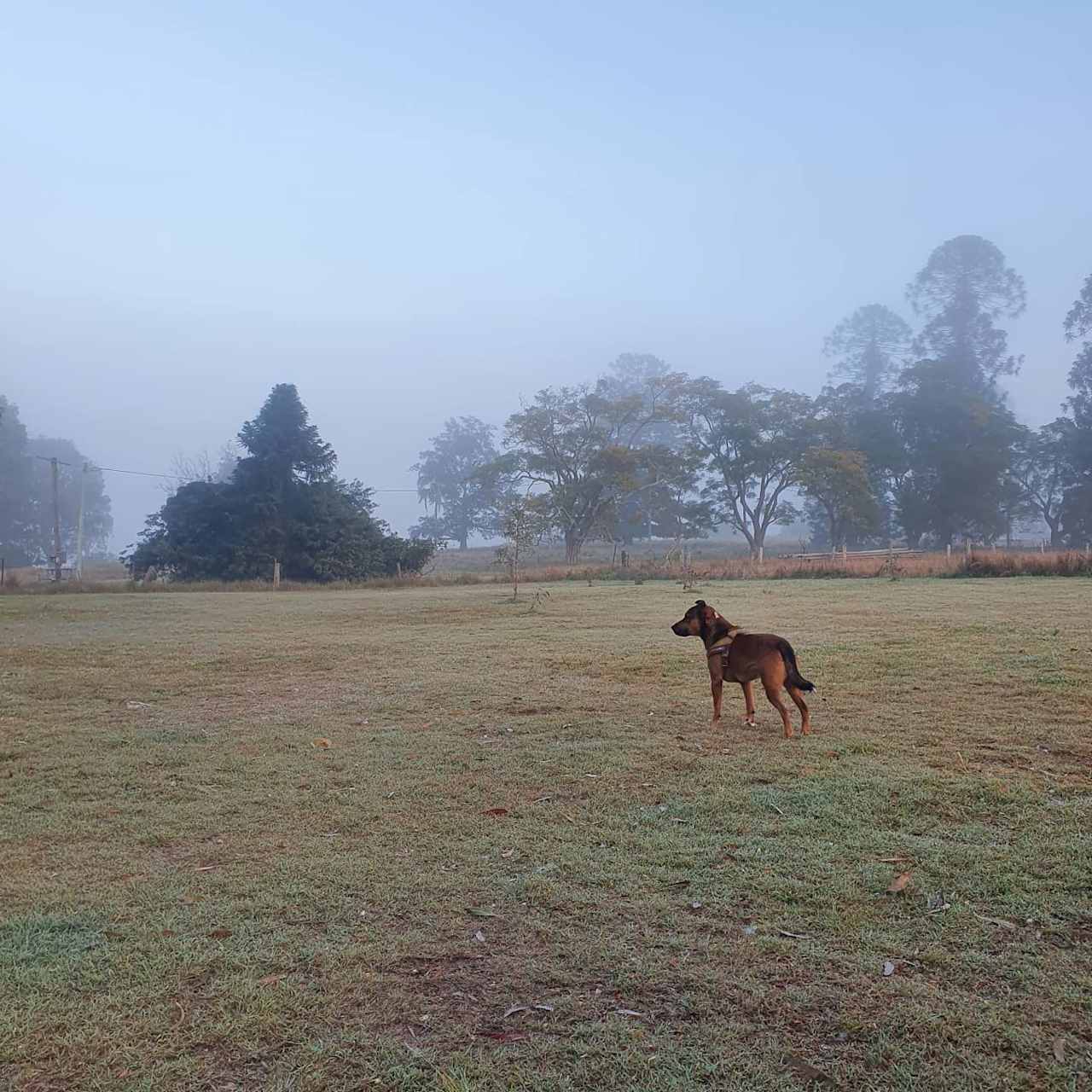 Logan Park Farm