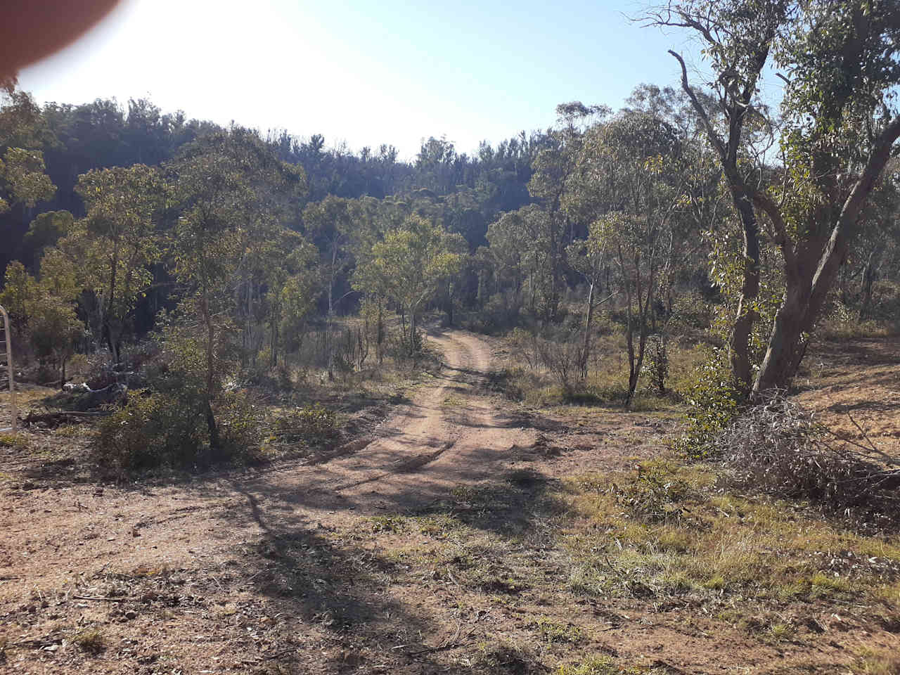 Ningee Nimbell creek Nature Camp